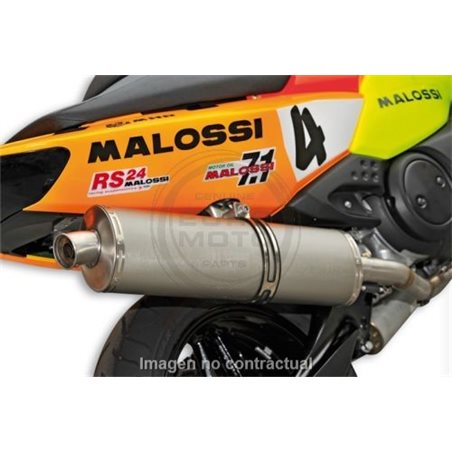 ESCAPE MALOSSI WILD LION YAMAHA T-MAX 500