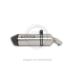 SILENCIOSO MALOSSI MAXI WILD LION BMW C 600 SPORT