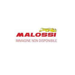DEPURADOR AIRE E-10 MALOSSI