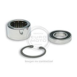 KIT DE REVISIÓN PARA POLEAS MALOSSI 619733