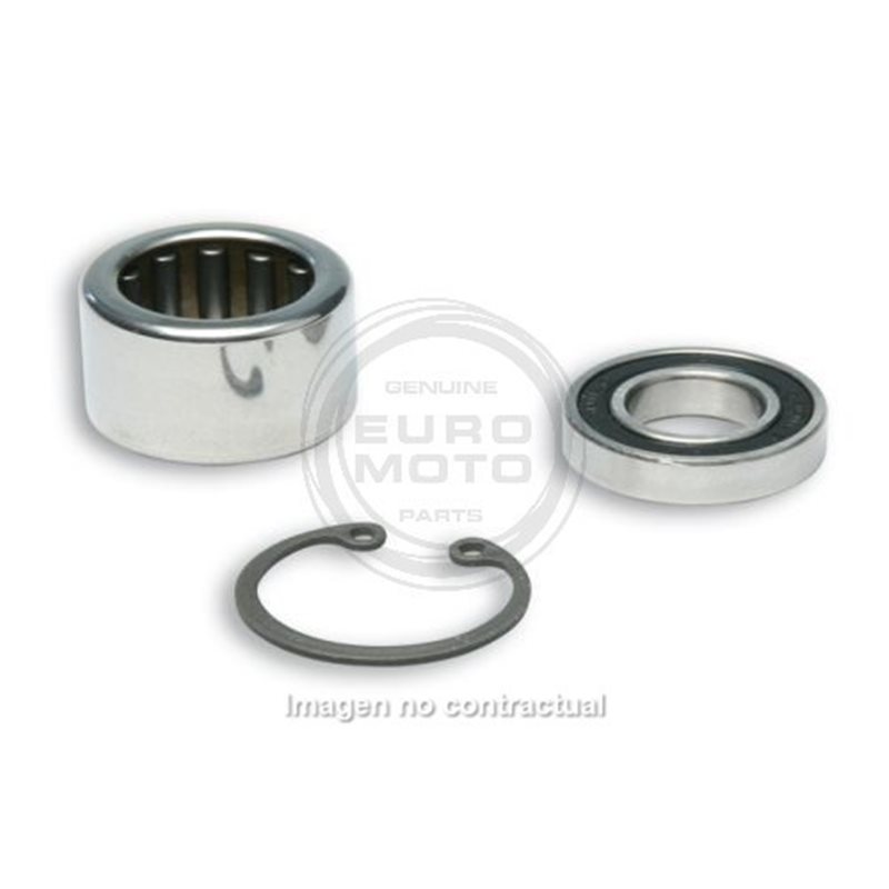KIT DE REVISIÓN PARA POLEAS MALOSSI 619733 KIT DE REVISIÓN PARA POLEAS MALOSSI 619733
