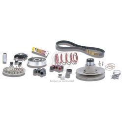 OVER RANGE MOTOR MALOSSI MINARELLI RUEDA GRANDE (AEROX 50)