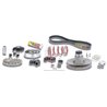 OVER RANGE MOTOR MALOSSI MINARELLI RUEDA GRANDE (AEROX 50)