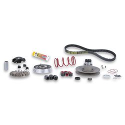 OVER RANGE MALOSSI MOTOR MINARELLI RUEDA PEQUEÑA (JOG)