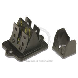 CAJA LÁMINAS VL11 CARBONO PIAGGIO SKIPPER