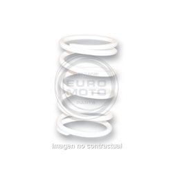 MUELLE DE POLEA CONDUCIDA BLANCO HONDA SILVER WING