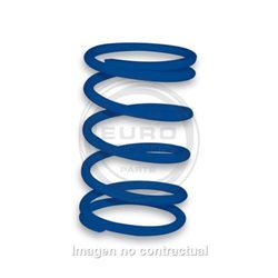MUELLE POLEA CONDUCIDA AZUL PIAGGIO ZIP, TYPHOON