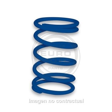 MUELLE POLEA CONDUCIDA AZUL PIAGGIO ZIP, TYPHOON