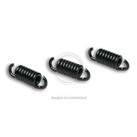 JUEGO DE MUELLES PARA EMBRAGUE DELTA CLUTCH FXR