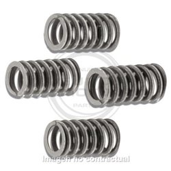MUELLES PARA EMBRAGUE ORIGINAL MOTOR AM6 TZR 50