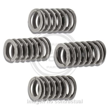 MUELLES PARA EMBRAGUE ORIGINAL MOTOR AM6 TZR 50