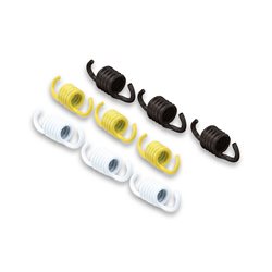 MUELLES MHR EMBRAGUE DELTA CLUTCH MALOSSI