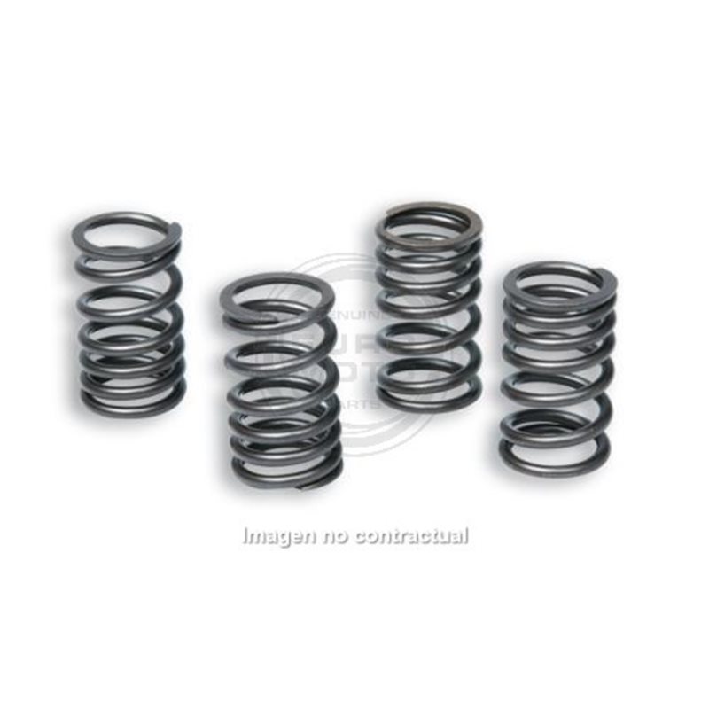 MUELLES MALOSSI VÁLVULAS ORIGINALES HONDA SH 300