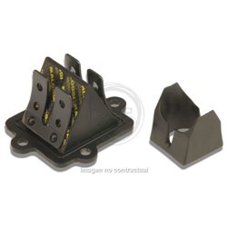 CAJA LÁMINAS DE CARBONO VL6 MOTOR AM6, NSR 75