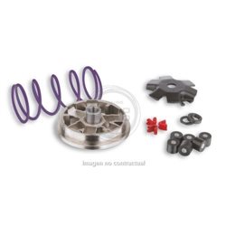 VARIADOR MULTIVAR COMPETICIÓN ZIP SP AGUA