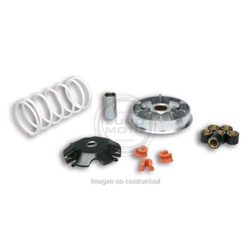 VARIADOR MULTIVAR MALOSSI HONDA LEAD 110