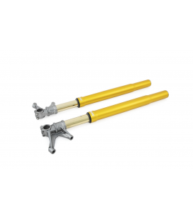 UNIVERSAL Gold All - All ÖHLINS HORQUILLA FGR200