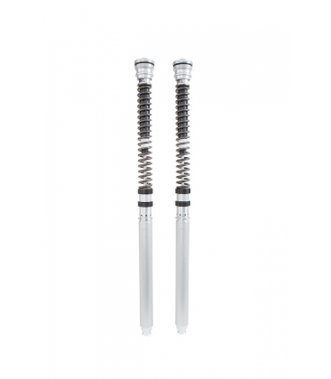 YAMAHA YZF R1 2015 - 2024 ÖHLINS CARTUCHO DE HORQUILLA TTX25S
