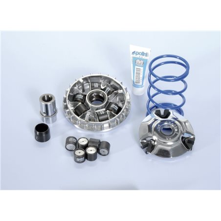 DERBI RAMBLA 125 4T-H2O (08-09) VARIADOR POLINI