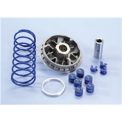 HONDA NSS JAZZ 250 4T-H2O (01-07) VARIADOR POLINI