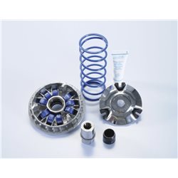 HONDA PCX 125 4T-H2O (10-14) VARIADOR POLINI
