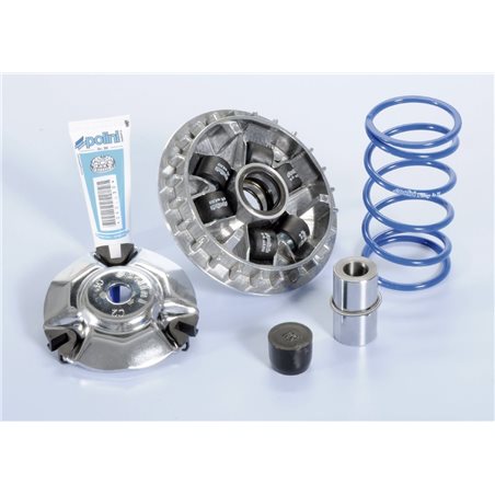 HONDA SH SCOOPY I 150 4T-H2O (13-14) VARIADOR POLINI