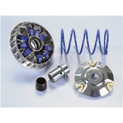 MALAGUTI ZADISON R 180 4T-H2O (01-02) VARIADOR POLINI