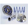 MALAGUTI ZADISON R 180 4T-H2O (01-02) VARIADOR POLINI