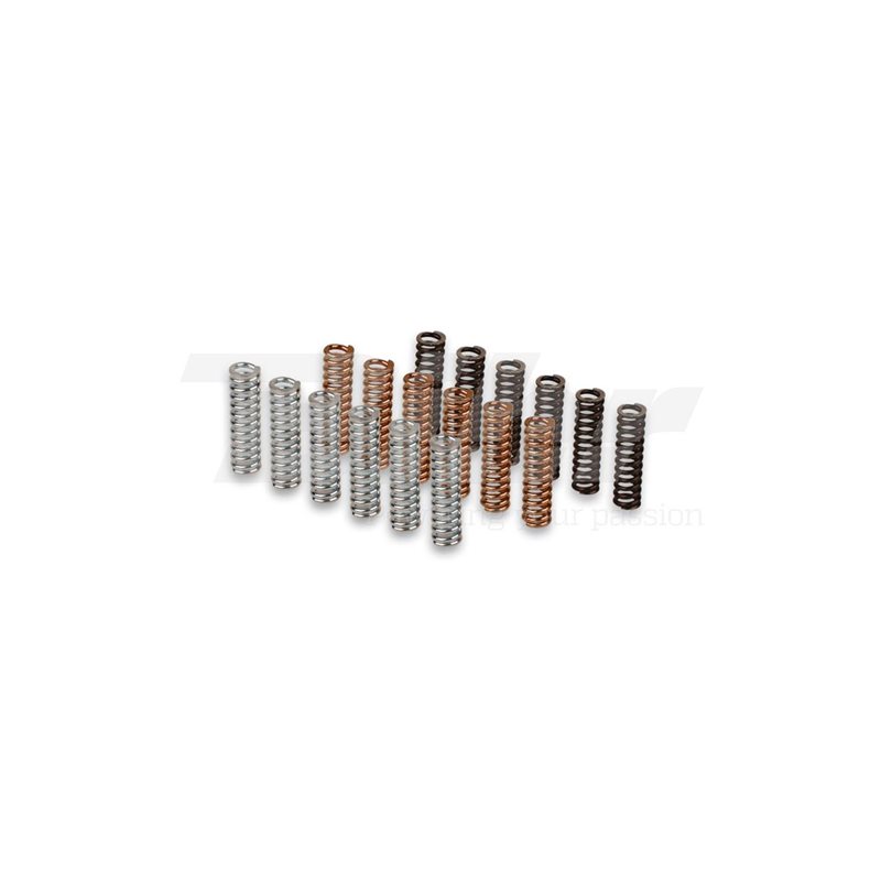 KIT MUELLES DE EMBRAGUE MALOSSI RACING YAMAHA T-MAX 530 12-15