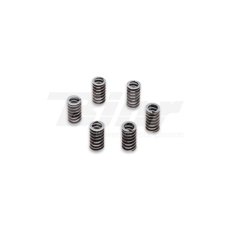 KIT MUELLES EMBRAGUE MALOSSI (X6) VESPA COSA/PX 125-150