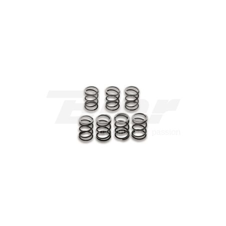 MUELLES EMBRAGUE MALOSSI (X7)VESPA COSA/PX E 200-T5 125