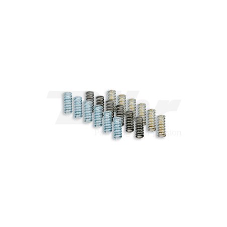 SET 9 MUELLES MHR MALOSSI PARA EMBRAGUE OEM