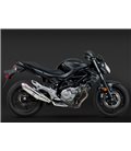 SUZUKI SFV 650 GLADIUS 2009 - 2010 SILENCIOSO TRC TRI-OVAL CONE