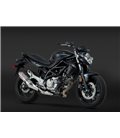 SUZUKI SFV 650 GLADIUS 2009 - 2010 SILENCIOSO TRC TRI-OVAL CONE