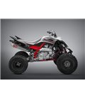 YAMAHA RAPTOR 700 2015 - 2018 ESCAPE COMPLETO RS2 OVAL CÓNICO