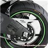 VINILOS VERDES REFLECTANTES CON APLICADOR PUIG
