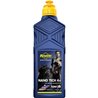 1 L BOTELLA PUTOLINE NANO TECH 4+ 10W-30