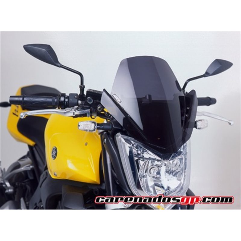 FZ1/ABS 06'-14' NEW GENERATION FZ1/ABS 06'-14' NEW GENERATION
