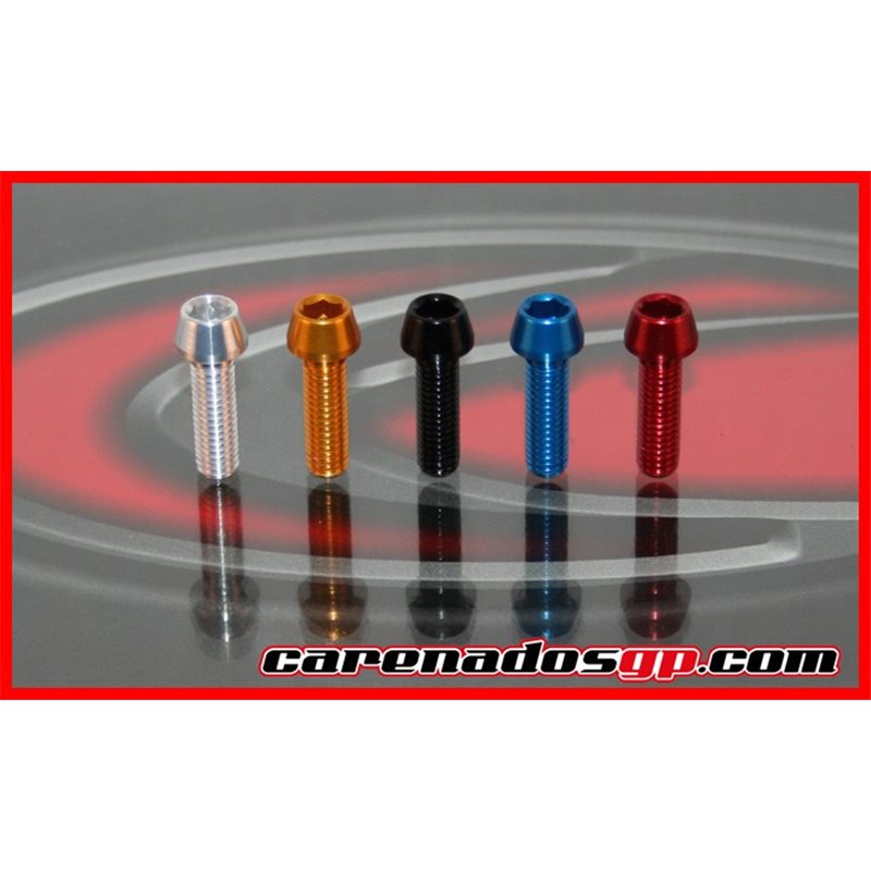 TORNILLOS MOTO ERGAL TCCE TORNILLOS MOTO ERGAL TCCE