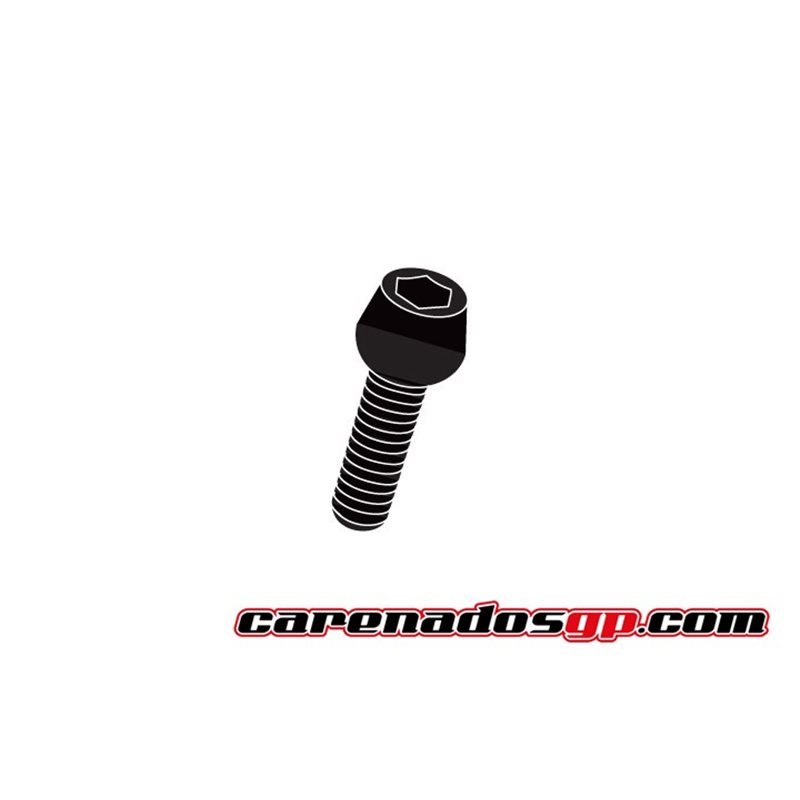 TORNILLOS MOTO ERGAL TCCE