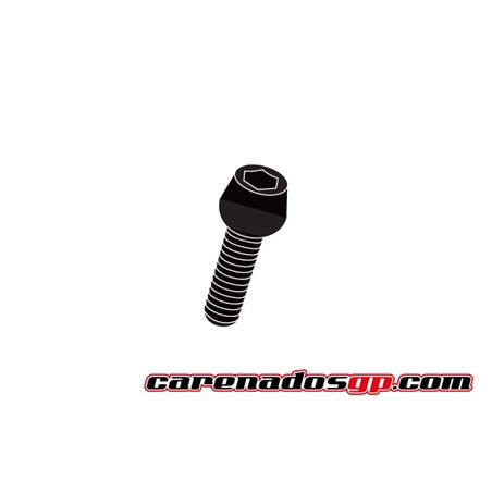 TORNILLOS MOTO ERGAL TCCE