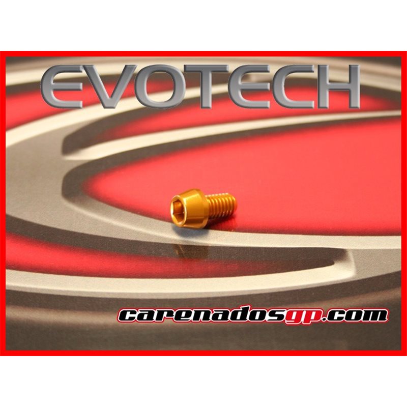 TORNILLOS MOTO ERGAL TCCE