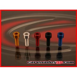 TORNILLOS MOTO ERGAL TCTCE
