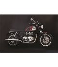 FIJO TRIUMPH BONNEVILLE/THRUXTON/SCRAMBLER PORTAMATRICULAS