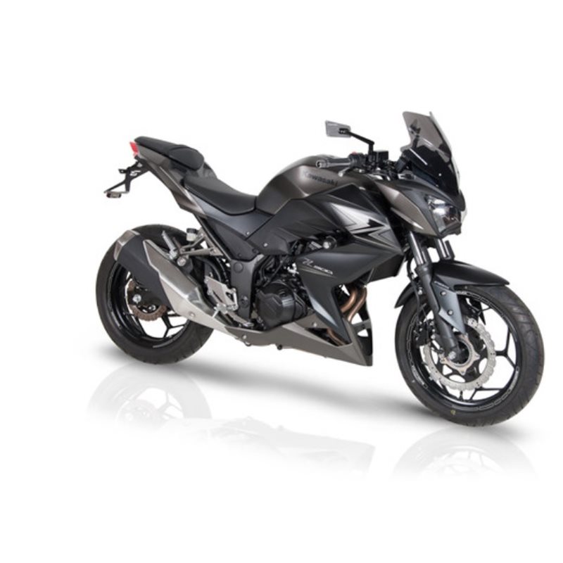 KAWASAKI Z300 16' CUPULA AEROSPORT R BARRACUDA KAWASAKI Z300 16' CUPULA AEROSPORT R BARRACUDA