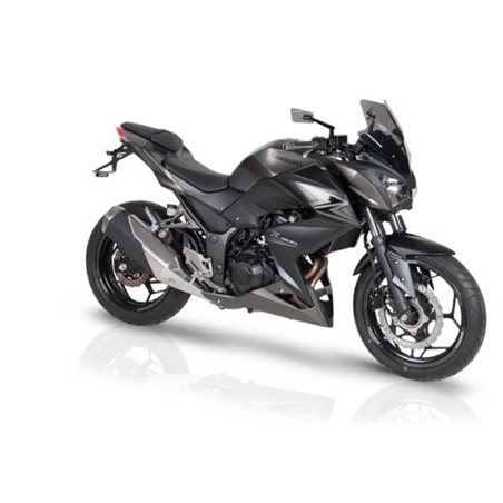 KAWASAKI Z300 16' CUPULA AEROSPORT R BARRACUDA
