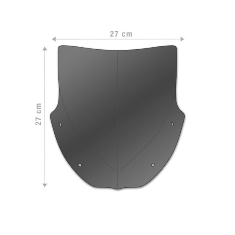 BMW NINE T CUPULA AEROSPORT BARRACUDA