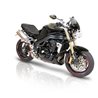 TRIUMPH SPEED TRIPLE 05-10  PROTECTORES ANTICAIDAS BARRACUDA