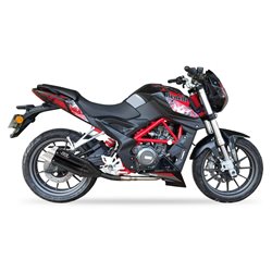 HONDA 1100 CBR XX 97-00 STATOR ELECTROSPORT