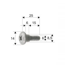 Tornillo de carrocería Piaggio/Gilera 298086/575249